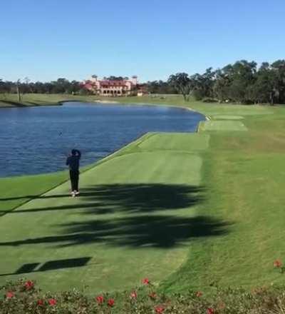 Golfer hits bird