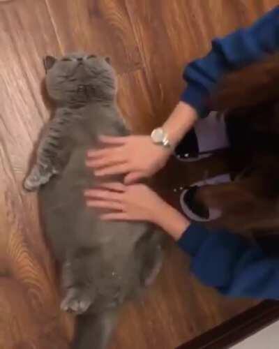 The rare double handed belly rubs