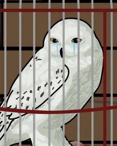 F for Hedwig