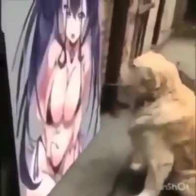 r-r-r-repost