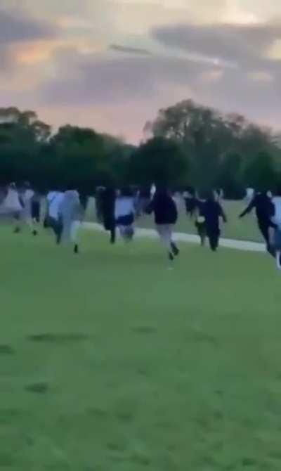 Machete attacks in London, Hyde Park