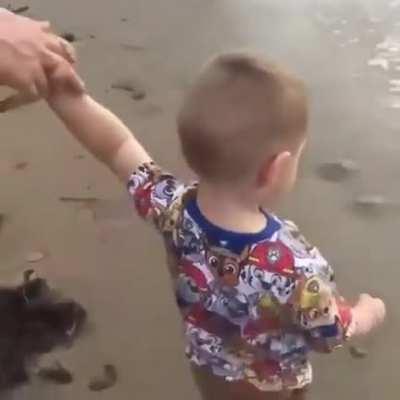 WCGW seeing the sea for the first time.