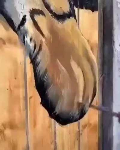 Drawing a tiger on wooden gate