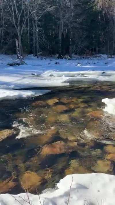 Rocky Gorge Scenic Area / Albany, New Hampshire USA [December 2019]