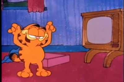 Garfield when he gets leaked for the 69th time.