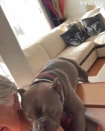 This bully loves grandma so much