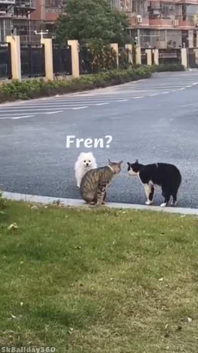 Fren