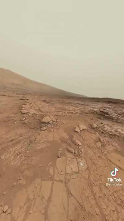 Mars bot sharing some scenery