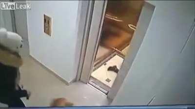 Pitbull Attacks and Kills Smaller Dog in an Elevator in the Ukraine