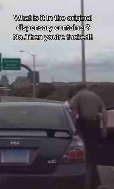 Cop loses it on the side of the highway