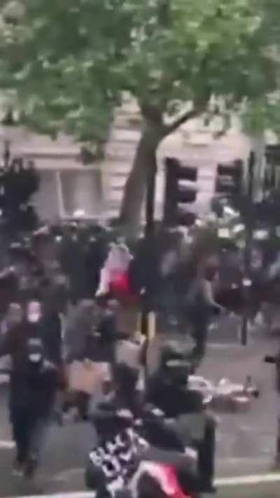 Horse Mounted Police officer at London's protest taken out by traffic light