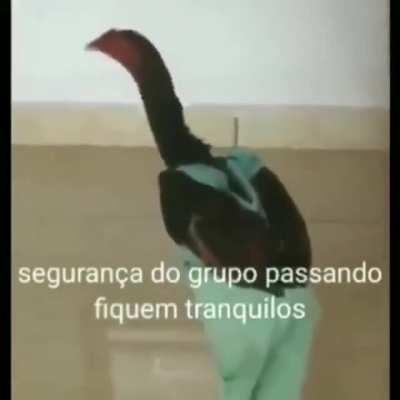 Segurança do grupo