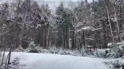 Beautiful winter scenery in Tusket, NS