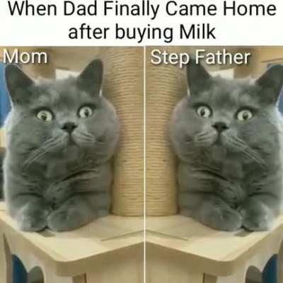 Sorry Dad, but I have got a step sis