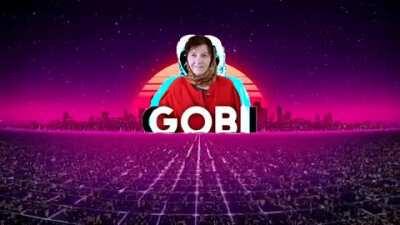 gobi