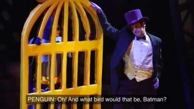 Guess Batman's a bird lover...