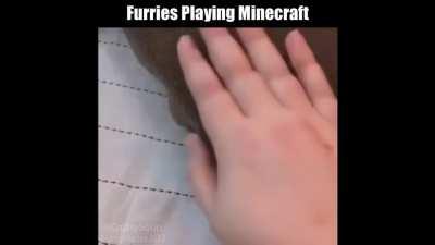 Remember to keep your Minecraft Servers Clean from Furries!