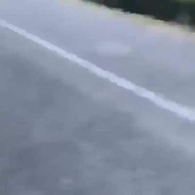 Guy throws gator into lake