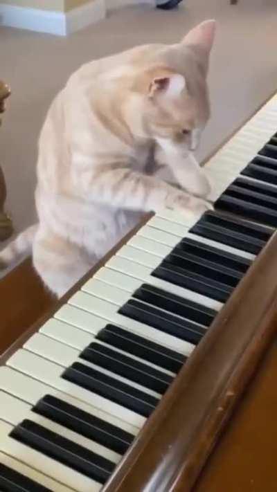 piano wunk