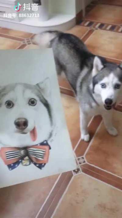 The friend drew a portrait of the dog.