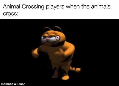 when the animals cross :0