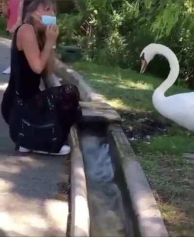 WCGW If I don't wear my mask properly near health conscious animals