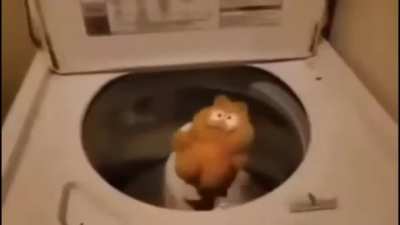 garfield