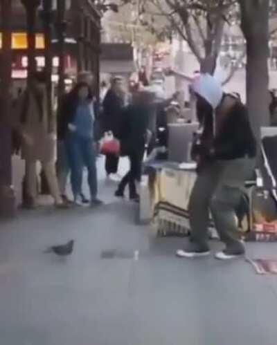 /r/petloss A pigeon vibing with the musician in the streets