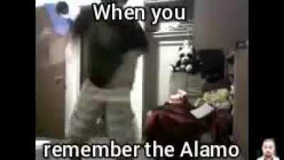 Never forget the Alamo