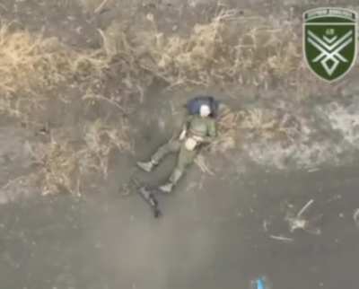 Russian soldier decided to rest, but was disturbed by an intrusive 