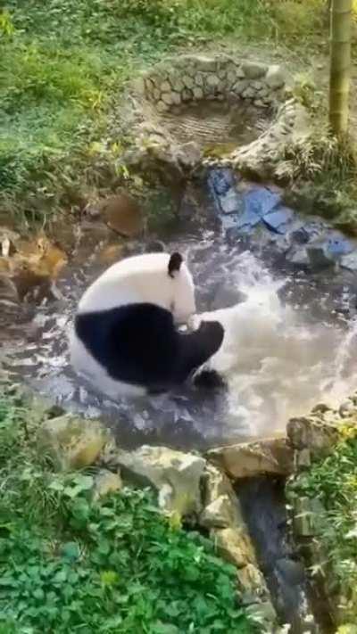 an oreo bear taking a bath