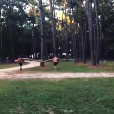 WCGW trying to break a tree branch like idiots?