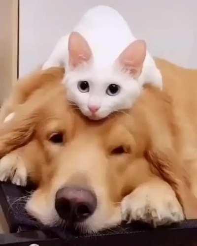 Best friends