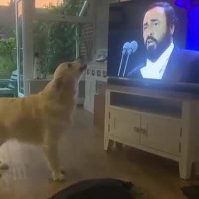 Dog's reaction to his favorite song