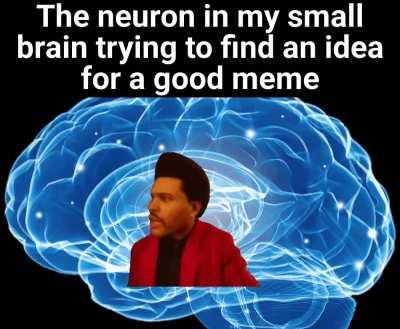 Smol brain problems