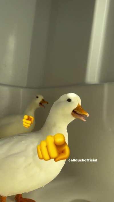 🫵 🦆 