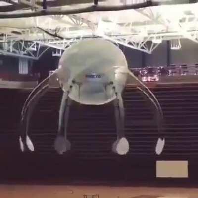 Octopus drone