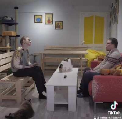 Cat cafe in Gatchina (St. Petersburg region) suddenly became famous in Tik-Tok, after right during the interview, the cat Slonik jumped on the table, climbed into a paper cup with his muzzle and got stuck in it 😀😺