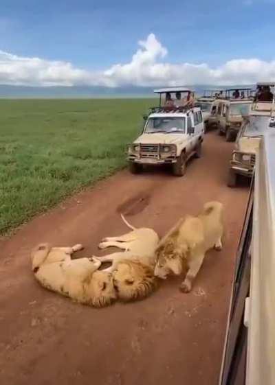 A roadblock in Tanzania