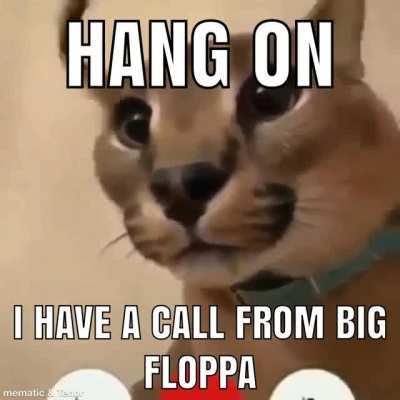 Floppa rule