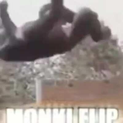 Monkey Flip