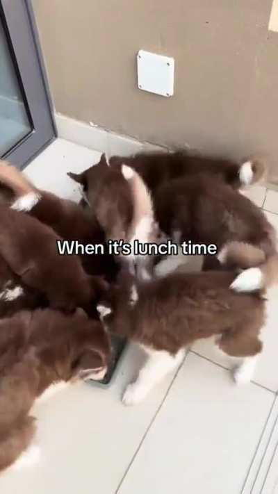 It's lunch time