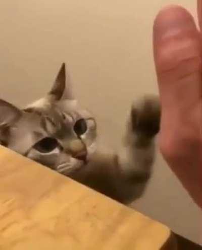 The Cutest High Five You’ve Ever Seen