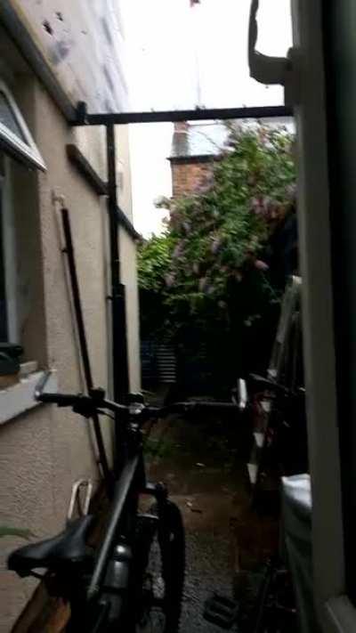 Manchester, UK - rain between thunder earlier this week; satisfying parallel streams of rainwater caused by the corrugated roof of my bike shelter