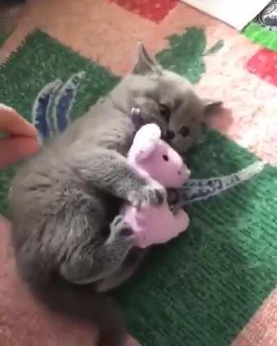 Don't Touch My Pinkie Toy