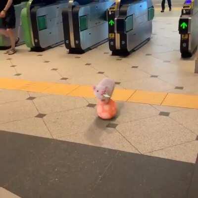 Pinky at the train station