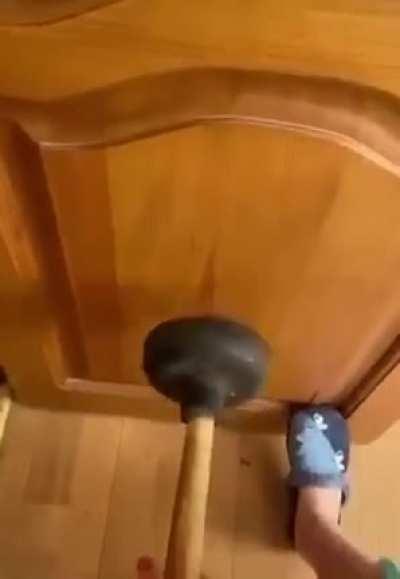 Cursed_Plunger