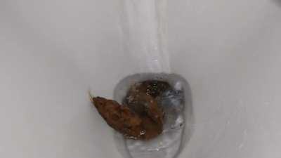 Pooping on the toilet a big one and smaller more. The biggest turd on the down toilet at home. The tall to the toilet water are 55 centimeters. The turd was 40 centimeters.