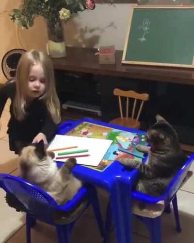 Kid teaches her cats 😍❤️