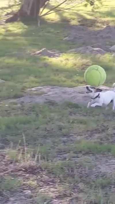 Ronaldinho reincarnation